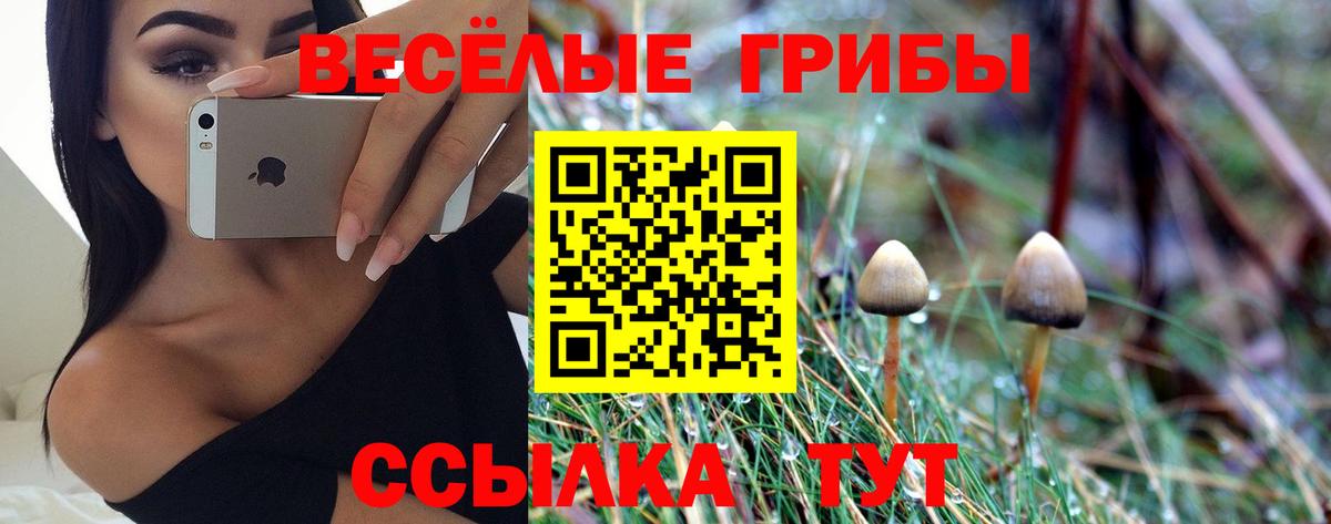 Галлюциногенные грибы Magic Shrooms  Вход с VPN  Реж  Псилоцибиновые грибы Cubensis 